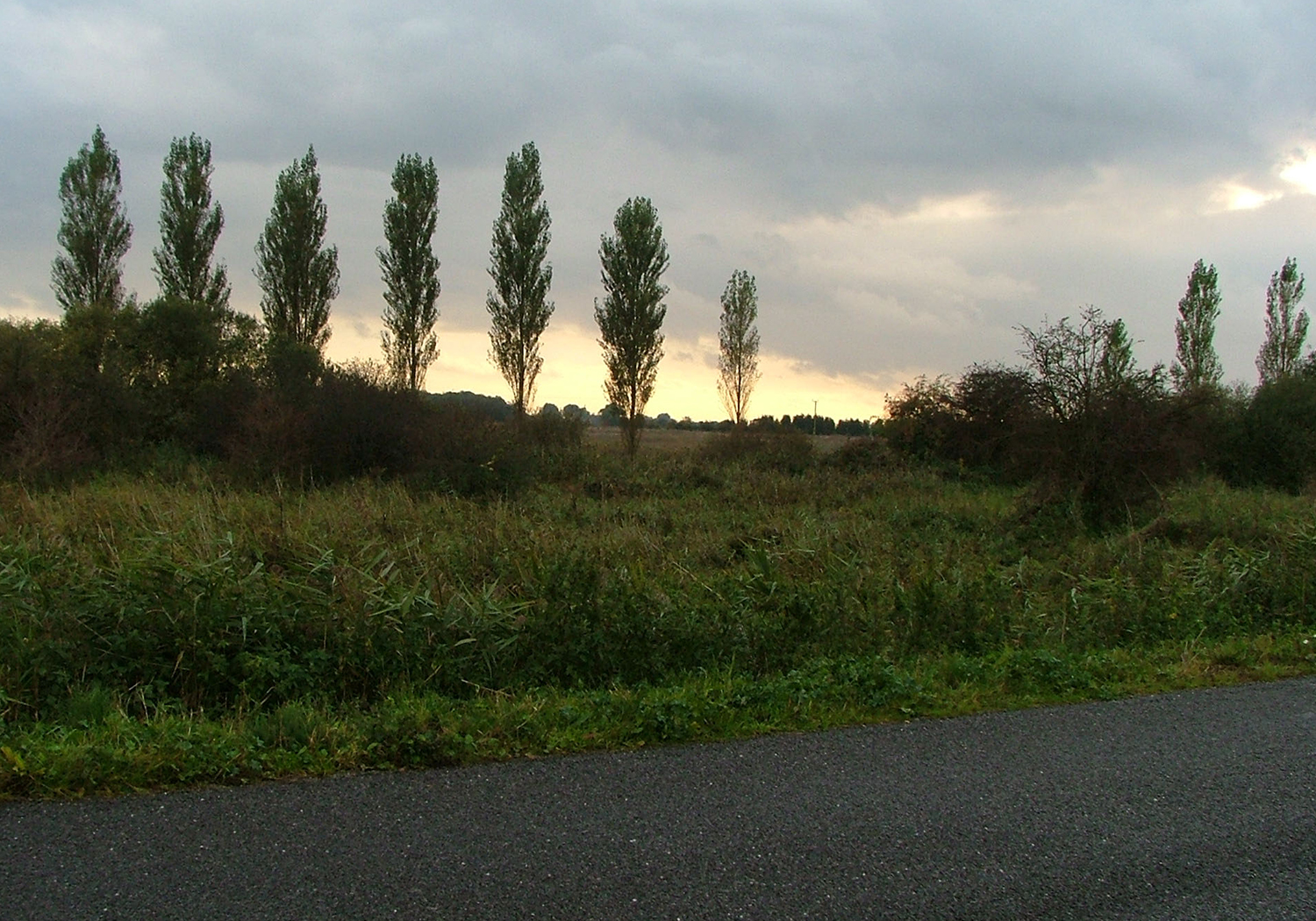 Browns Fen, Stoke Ferry, Norfolk