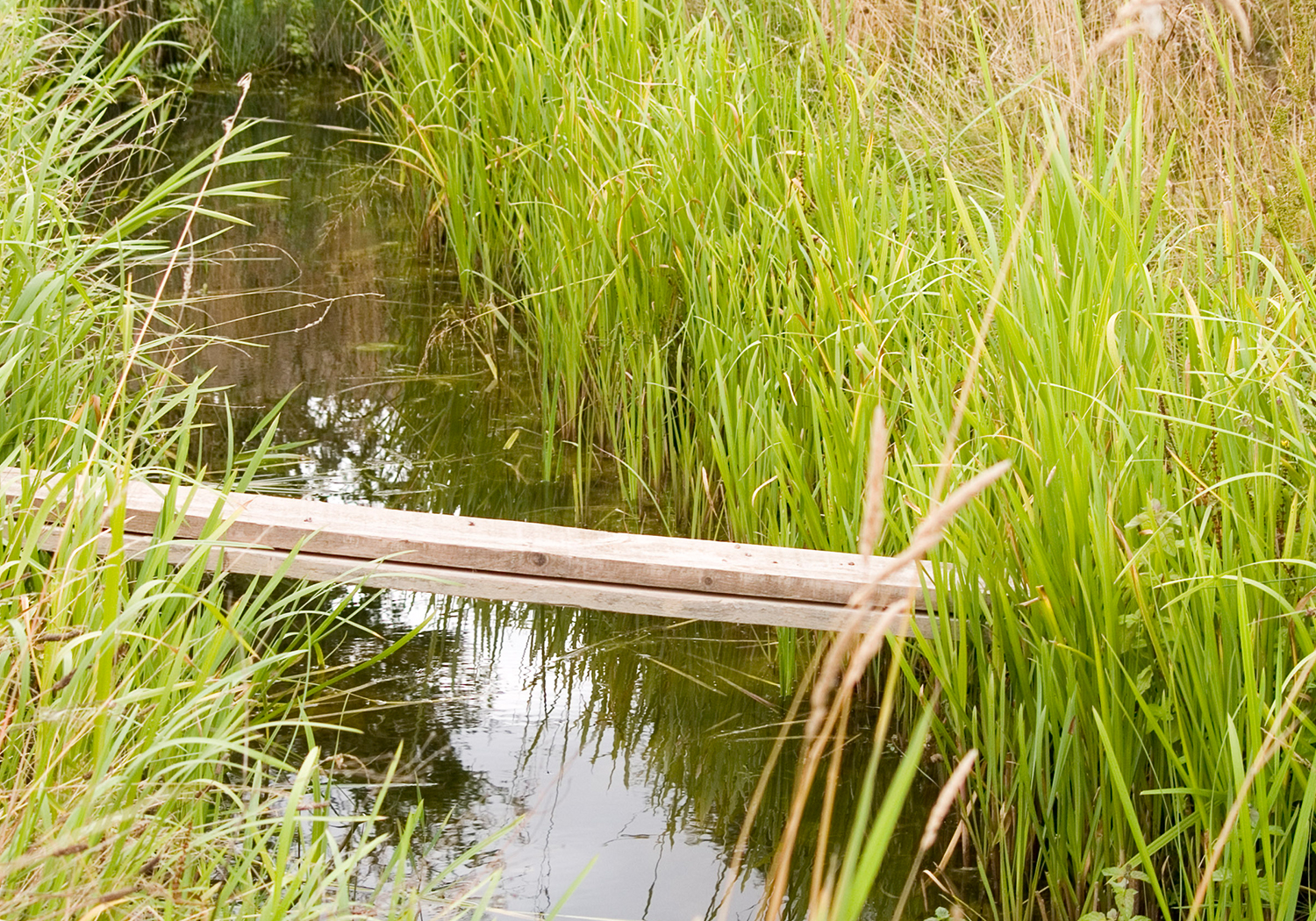 A11 Attleborough Bypass, Norfolk