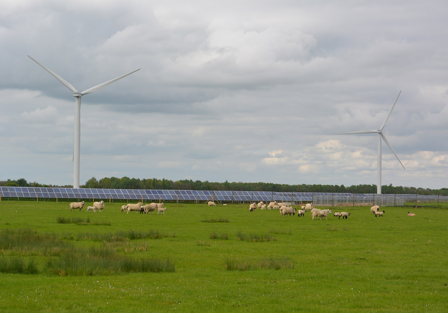 Chelveston Renewable Energy Park, Northamptonshire