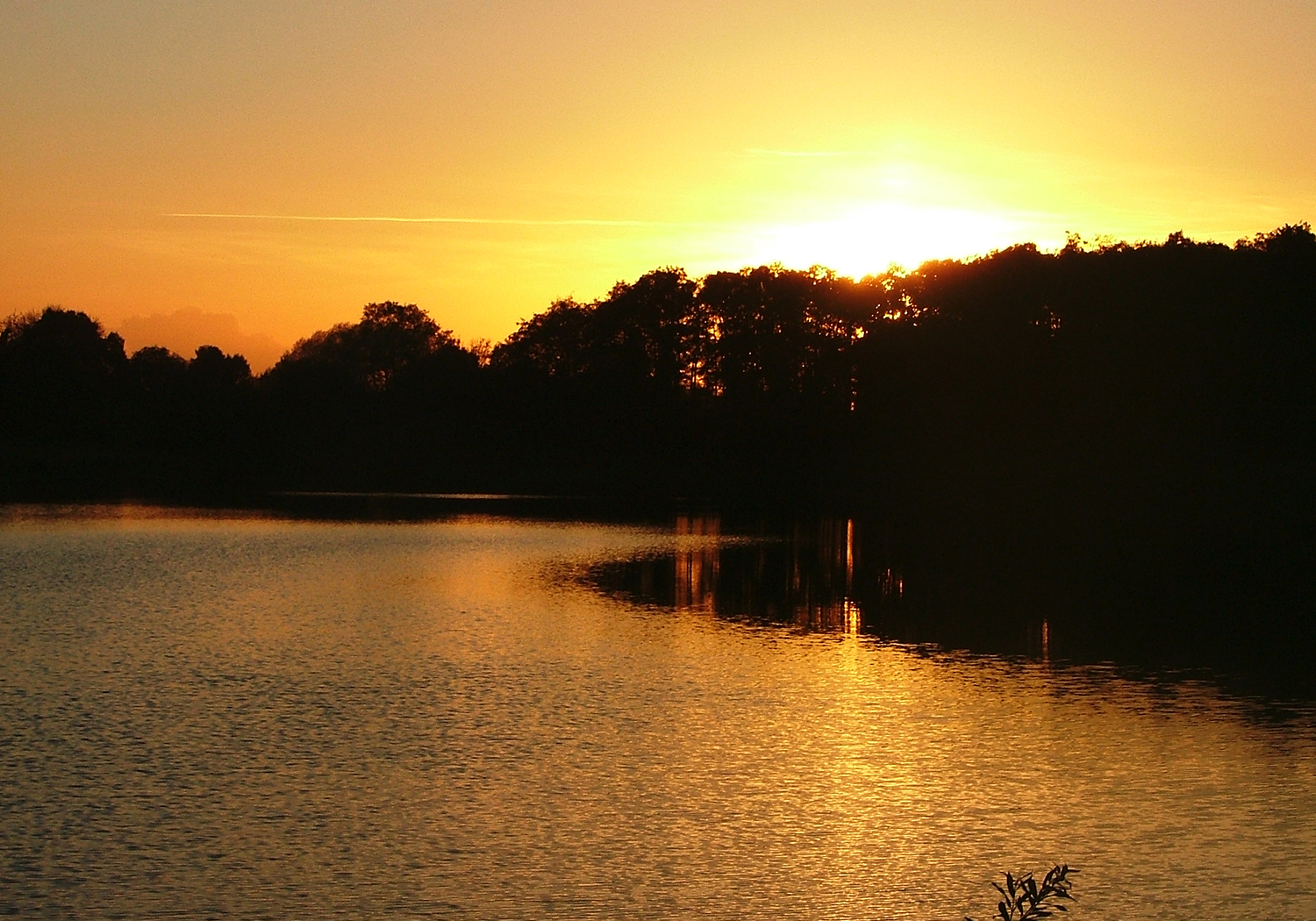 Snetterton Gravel Pit, Norfolk