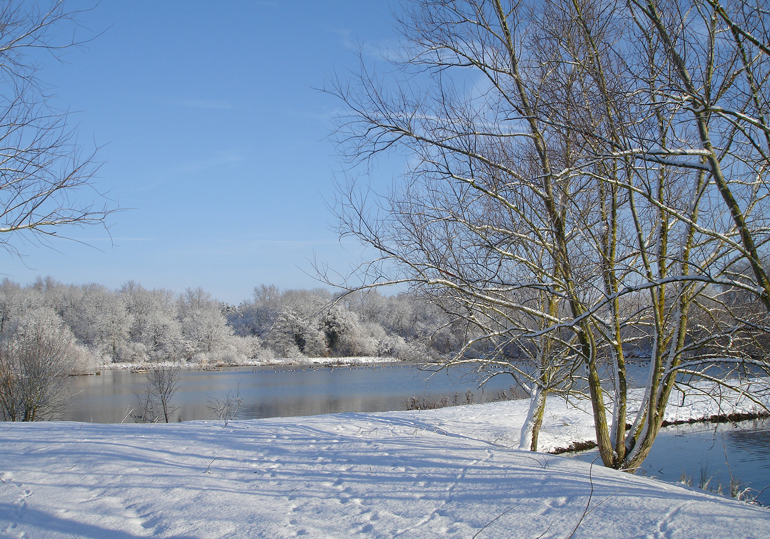Watermill Farm, Norfolk