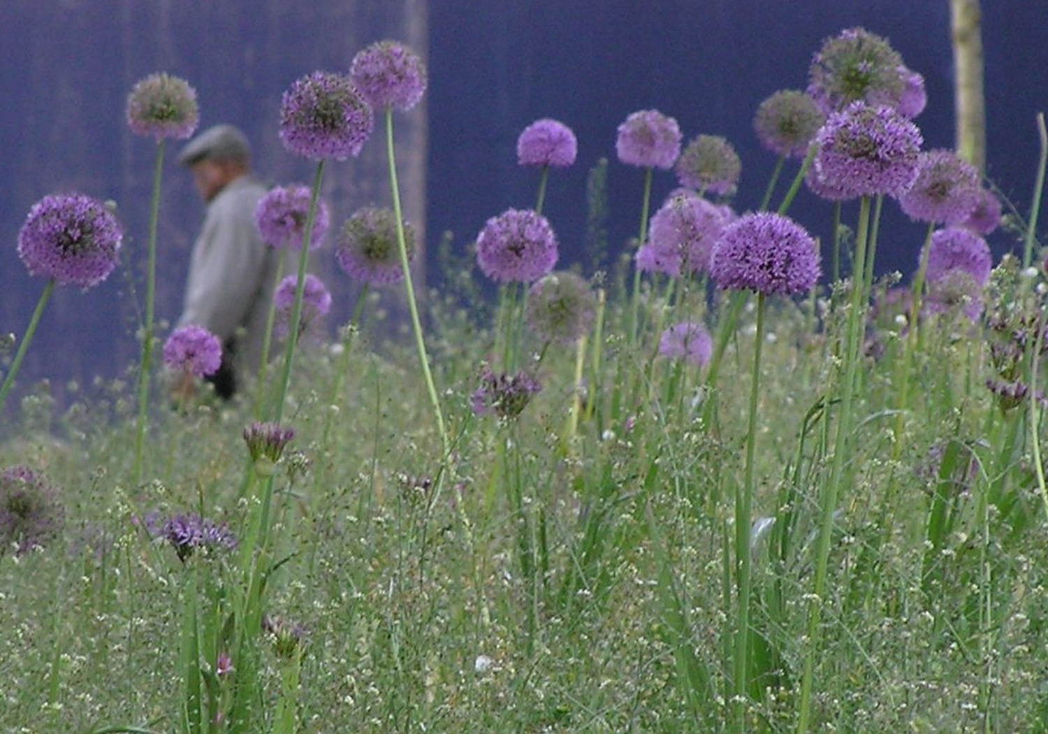 Fordham Park Masterplan, New Cross, London Borough of Lewisham